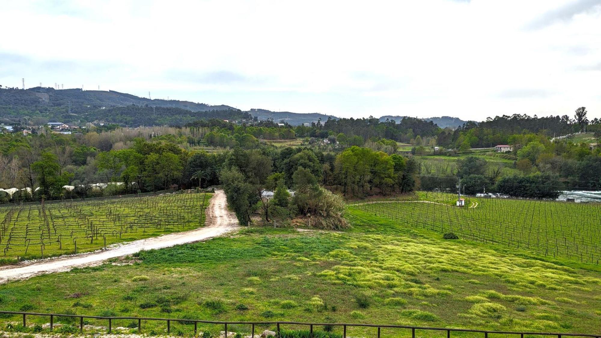 Quinta Do Burgo - Nature Hotel Amares Exterior foto